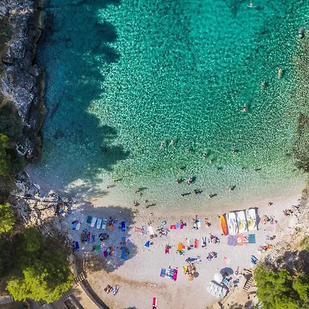 Majoran Pula