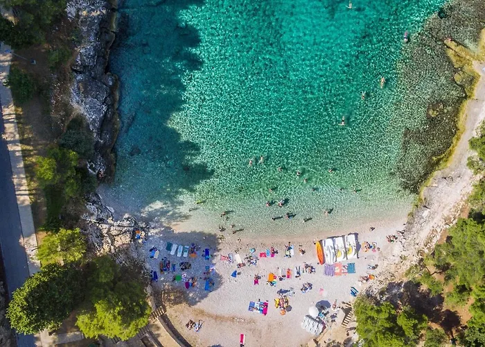 Majoran Pula